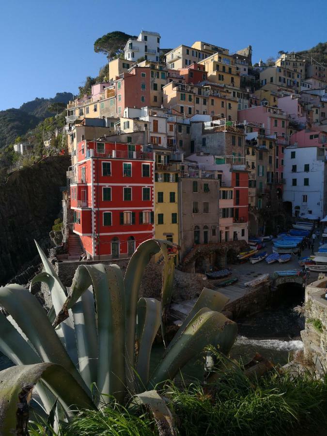 Il Giardino Di Riomaggiore Suite Exterior photo